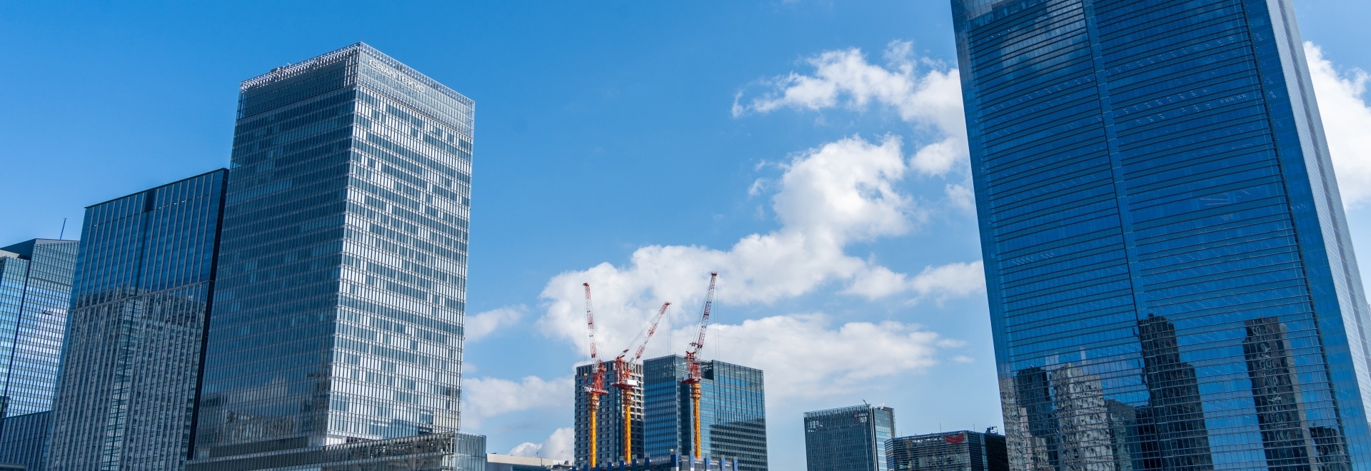 企業情報
